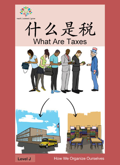 什么是税