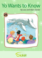 The Secret of the Dolphin Fins